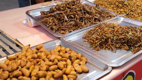 Muchos insectos fritos diferentes en el mercado al aire libre