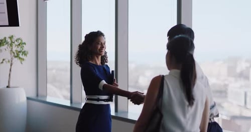 Businesswoman Shakes Hands with Colleagues in Modern Office