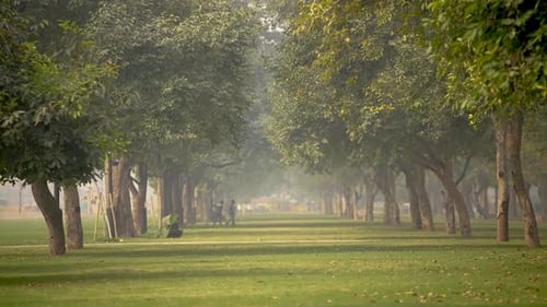 India gate garden