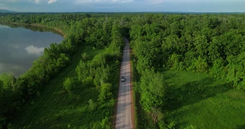 A White Car is Driving Along the Road Going Into the Forest