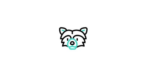 Animated Raccoon Head Icon Reveal in Flat Design