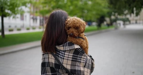 Rear View of a Happy Brunette Girl in a Plaid Shirt Walks Along the Park and Carries a Brown Dog