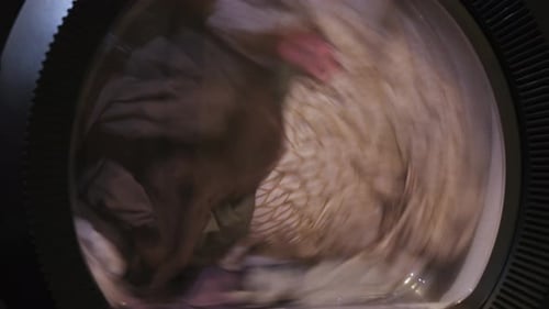 Wash Machine Clothes Washing Machine in Laundry Room Interior