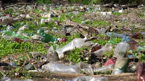 Many Plastic Bottles Lying on Green Lawn at Forest Trash is Dumped in Open and Freely Available