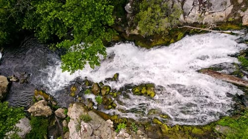 Waterfall Flowing in the Forest