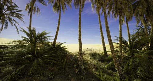 Vibrant Tropical Landscape with Palm Trees and Sandy Beach Under Clear Sky