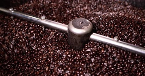 Rotating Coffee Beans in Processing Machine