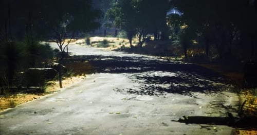 Quiet Dirt Road Winding Through Lush Greenery During Daylight