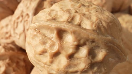 Walnuts in stunning macro close-ups
