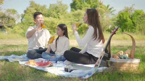 Family Picnic in the Green Countryside