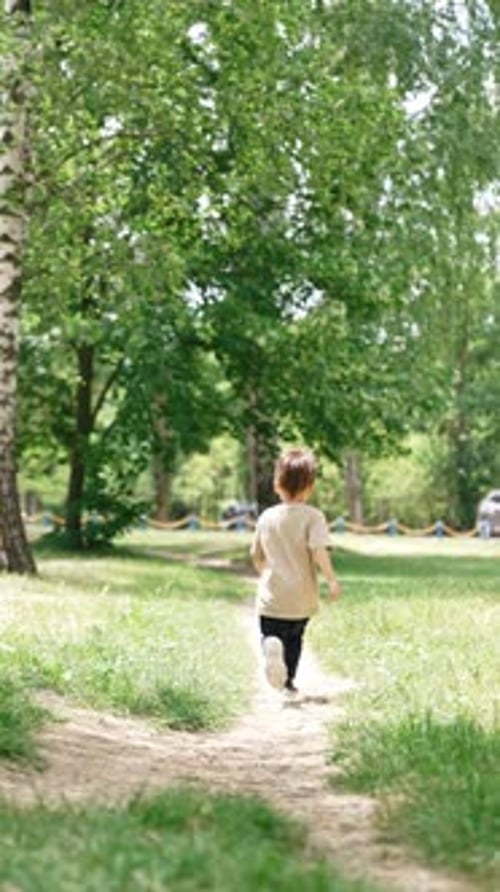 Rear view of a baby boy walking and running by the path in the grass.