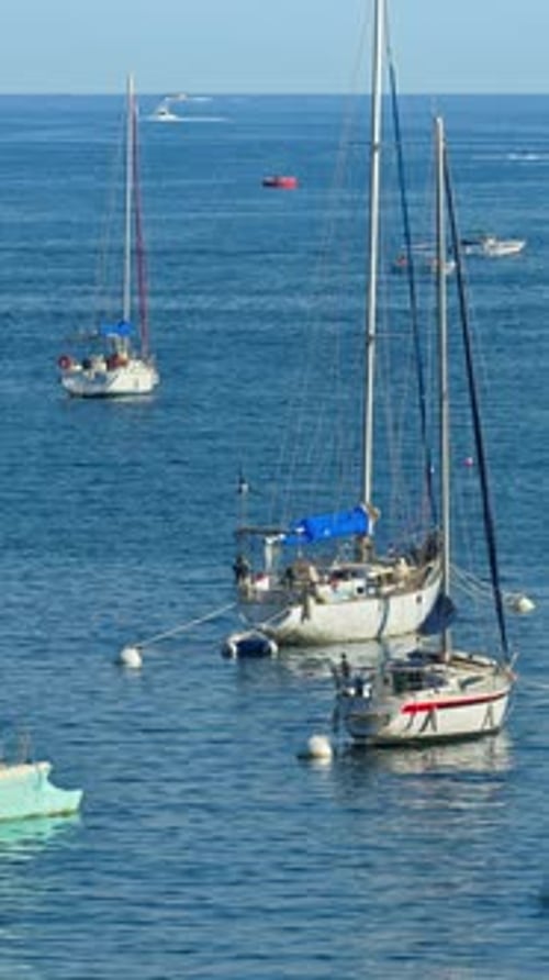 Boats docked in the local harbour in Villefranche sur Mer, France. Vertical