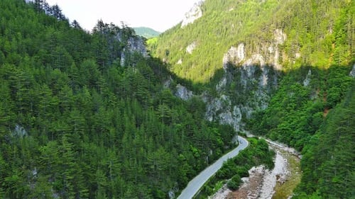 A Winding Road Passes Through Mountain Canyons with Plants with Foliage Under a Day Sky in Rhodope
