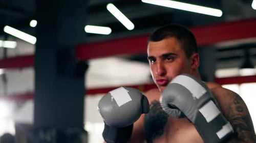 in a Boxing Fight Club a Young Boxer with Tattoos in Gray Gloves Trains Combo Punches Professional