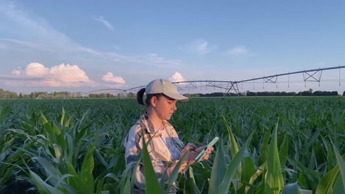 Female Farmer Working at Field Irrigation System on Background