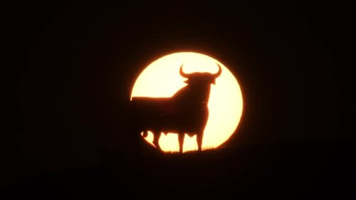 Silhouette Bull in Front of Bright Setting Sun