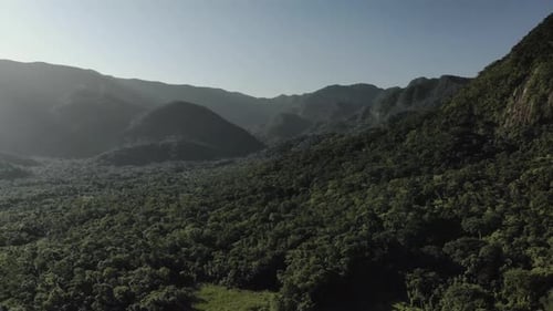 Wunderschöne Drohnen-Luftaufnahme 4k Wald