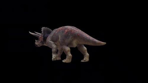 Triceratops Horridus Dinosaurier