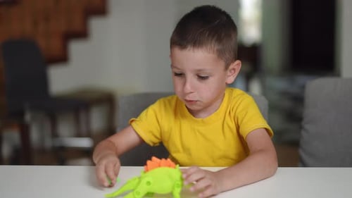 Boy Plays with Toy Dinosaur at Table