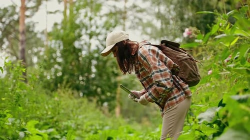 Closeup of the Hands of a Female Biologist Inspecting a Plant in the Forest A Scientist Analyzes