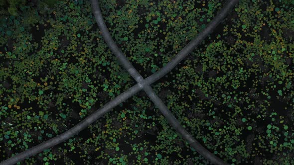 Top down fast clockwise rotation aerial view of pathway through a pond ...