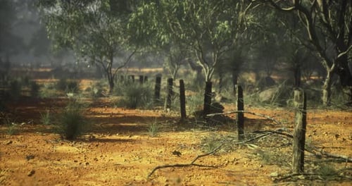 Rustic Nature Scene with Old Fence in Outback Landscape