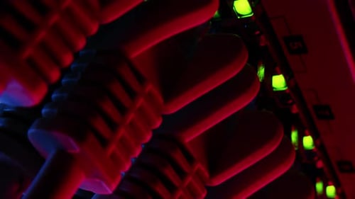 Macro Shot: Ethernet Data Center Cables Connected to Router Ports in Red Neon Background. RJ45 Inte