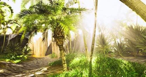Sunlit Tropical Jungle Path with Lush Greenery and Palm Trees