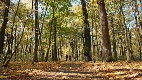 Couple Man and Woman Running Together on Yellow Leaves in the Park