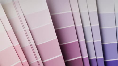 Color Pallet Choosing the Color By Designer Furniture Real Estate or Construction Works Creative