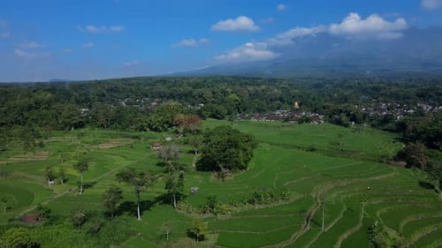 4K-Drohnenaufnahmen von üppigen, terrassenförmig angelegten Reisfeldern vor dem Hintergrund von Bergen und strahlendem Blau