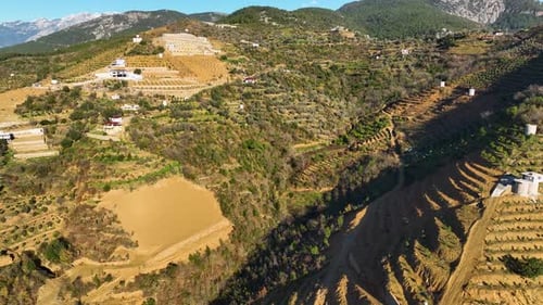Abundant Harvest Cinematic Drone's Journey Through the Lush Avocado Farms in Southern Turkey