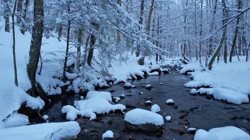 Beautiful smooth low drone footage of a snowy stream in a winter wonderland