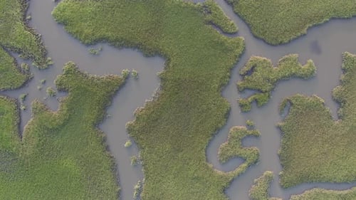 Aerial view of marshland and river, United States.