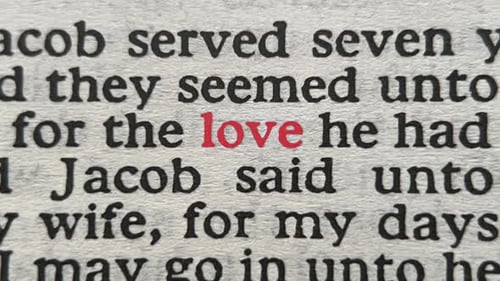 Love, Words On Pages Bible, Stop Motion