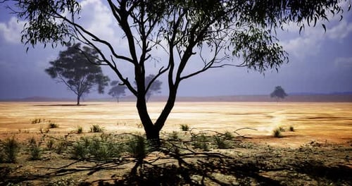 Dry Landscape with Sparse Vegetation Under Clear Sky in Remote Area