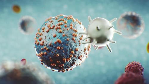 Immune Cell Engulfing Virus Microscopic Animation
