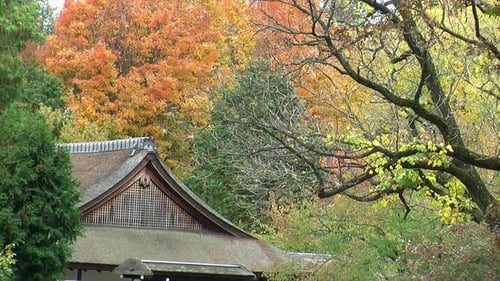 Gable of Japanese house with autumn trees.