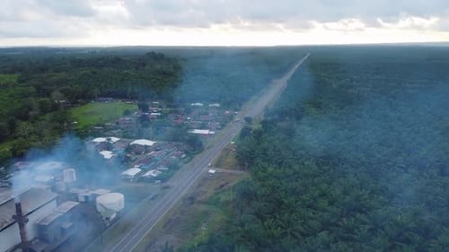 A factory near a palm plantation, aerial drone shot of the building's roof with a steaming chimney,