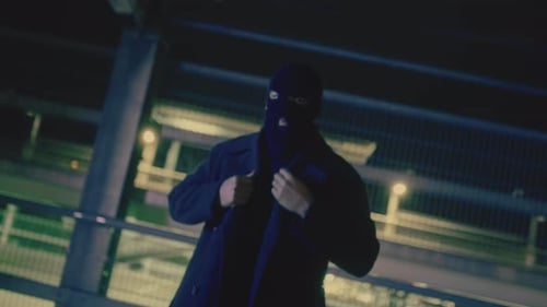 Bad Criminal
