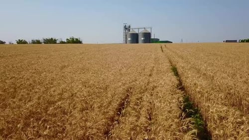 Vue aérienne d'un élévateur à grains devant un champ de blé, drone quadricoptère, caméra volant autour de la farine ou de l'huile