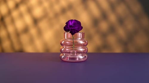 Elegant Flower Added to Modern Glass Vase
