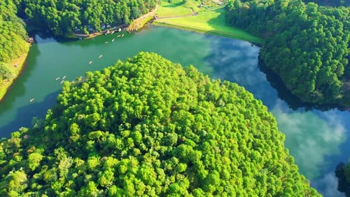 Irrigation reservoir is surrounded by green pine forest