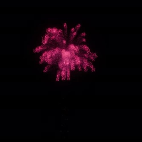 Vibrant Pink Firework Burst Overlay