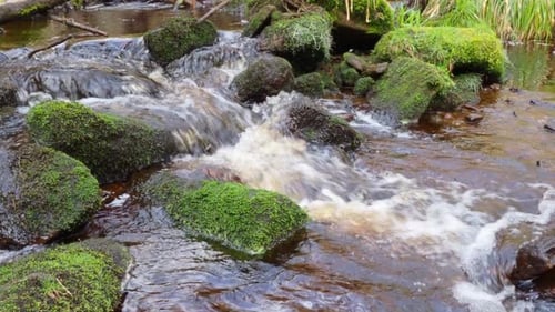 Woodland landscape. Small stream or river meandering slowly through rocks creating waterfalls. River