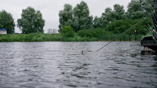 Fisherman with fishing rod or spinning and professional tools standing on the bank of the river
