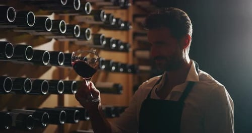 Adult Man Examining Glass of Wine in Cellar