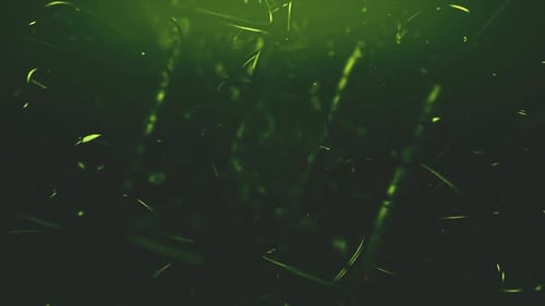 Yellow Glittering Particles Animation Loop