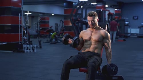 Professional bodybuilder exercising in gym. Shirtless muscular athlete training his muscles