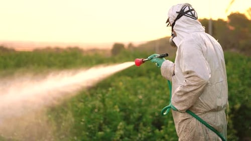 Person Sprays Crops in Rural Field at Sunset